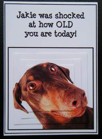 Doberman Shock 7x5inch Pyramid by Charlie Angel