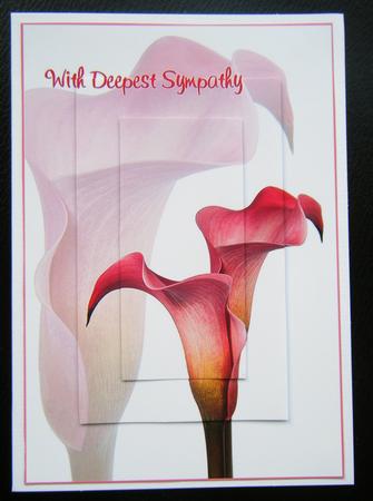 Cala Lily Sympathy Card Fronts by Charlie Angel