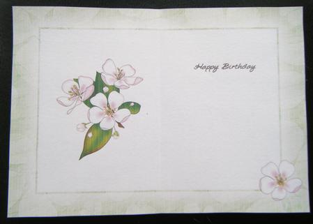 A5 Insert - Apple Blossom Colours by Charlie Angel