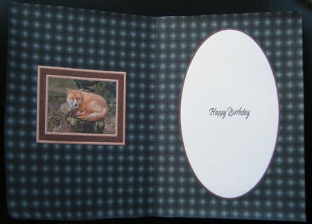 Fox Insert by Charlie Angel