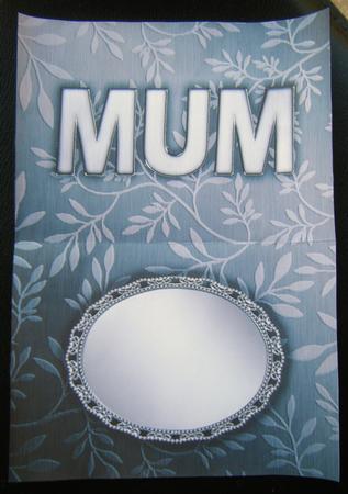 Elegant Metallic Words Matching Insert A5 Landscape by Charlie Angel
