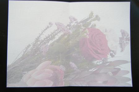 Rose & Protea Bouquet Insert Landscape by Charlie Angel