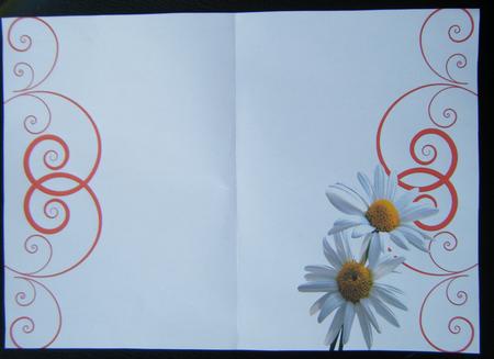 Insert with Red Flourish and Daisies by Charlie Angel