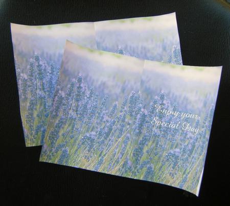 Lavender Card Double Insert Happy Birthday - Enjoy Your Day by Charlie Angel
