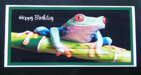 Green Tree Frog Dl Pyramid by Charlie Angel