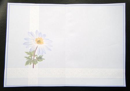 Lilac Anemone Insert by Charlie Angel