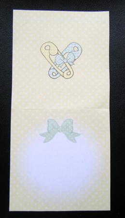 New Baby Insert Square Landscape by Charlie Angel