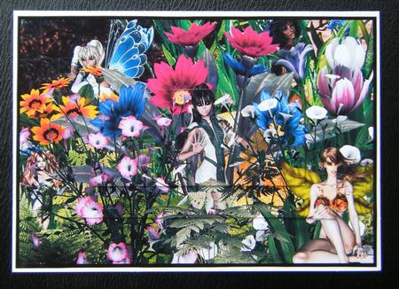 Secret Flower Fairies by Charlie Angel