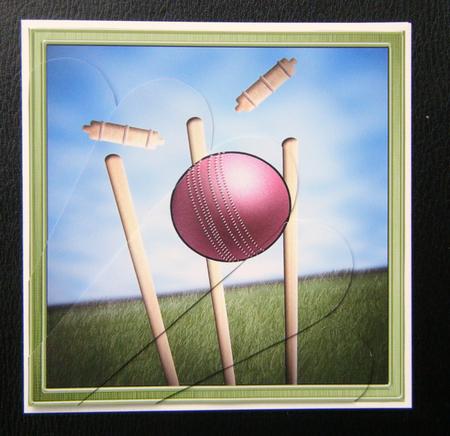 Cricket Quick Card with Fan Pyramage Topper by Charlie Angel