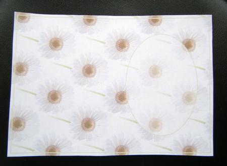 Daisydream Insert by Charlie Angel