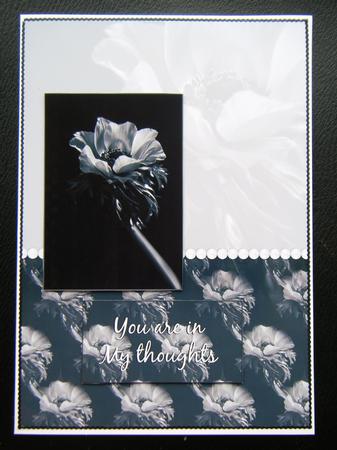 Anemone Card Front. Black and White by Charlie Angel
