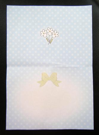 Pretty Soft Dots Insert A5 Landscape by Charlie Angel