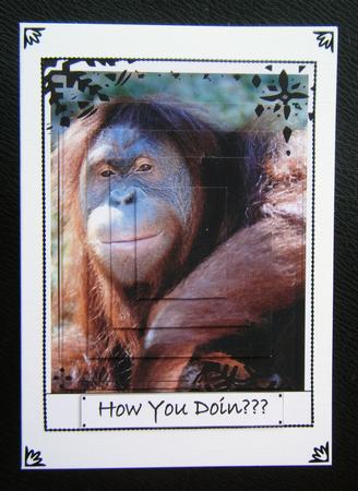 Ape Pyramid Topper (humorous) by Charlie Angel