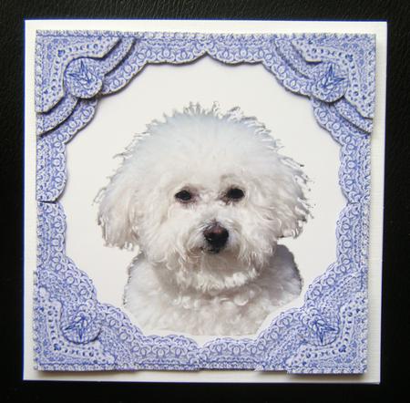 Bichon Frise Puppy Dog 3D Square Frame S by S Corner Stacker by Charlie Angel