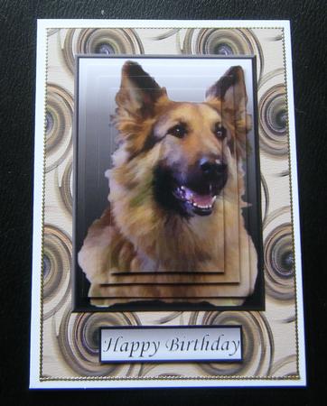 German Shepherd 4 Portrait Pyramid by Charlie Angel