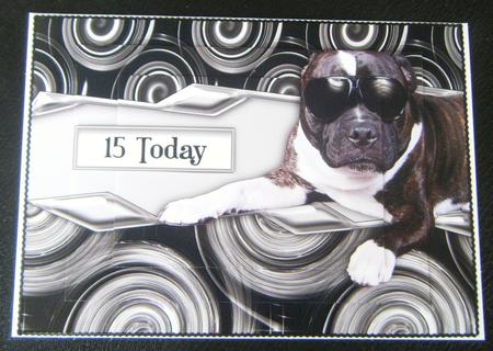 Cool Dude Staffie Sunglasses Pyramid by Charlie Angel