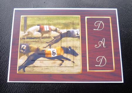 A Day at the Dogs by Charlie Angel