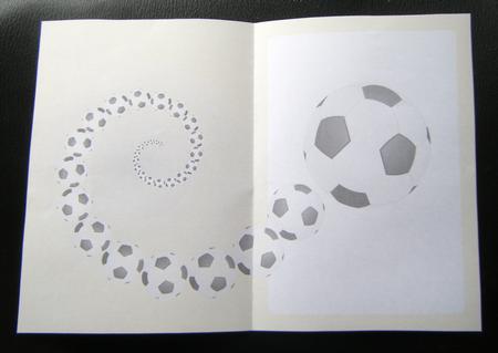 Football Fan Insert Grey by Charlie Angel