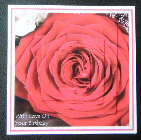 Birthday Rose by Charlie Angel