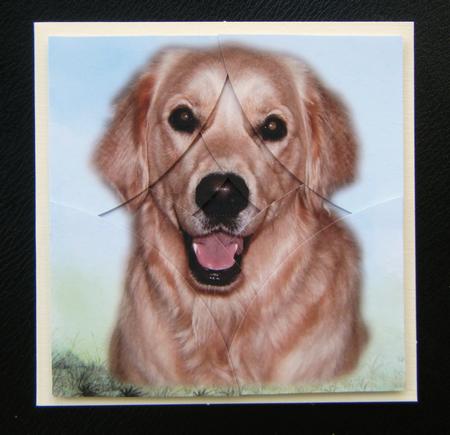 Alfie Happy Golden Retriever Dog Curved Spiral Stacker by Charlie Angel