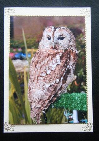 Tawny Owl Wavy Corner Side Stacker by Charlie Angel