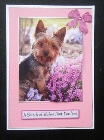 Flower Yorkie by Charlie Angel