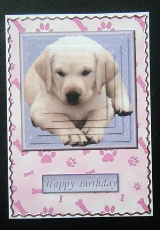 Golden Labrador Puppy Pyramid by Charlie Angel