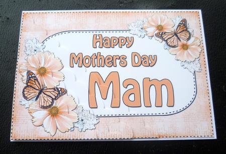 5x7 Flowers & Butterflies Mothers Day Mam Scallop Corner by Charlie Angel