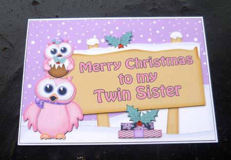 Xmas Twin Sister Owls Signpost 5x7 Decoupage by Charlie Angel