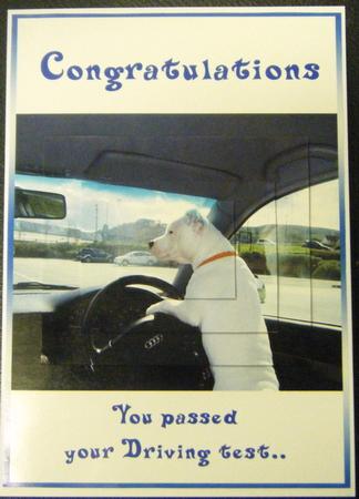 Staffordshire Bull Terrier Driving Test Card & Pyramage by Charlie Angel