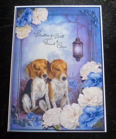 Brothers by Birth, Friends by Choice by Charlie Angel