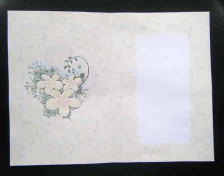 Floral Visage in Cream - Insert by Charlie Angel