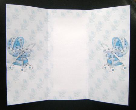 Baby Buggy Boy Gatefold Insert by Charlie Angel