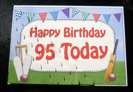 5x7 95th Birthday Cricket Scallop Corner by Charlie Angel