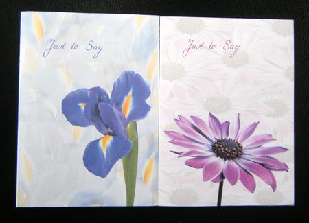 Floral Dream Notelets 3 by Charlie Angel