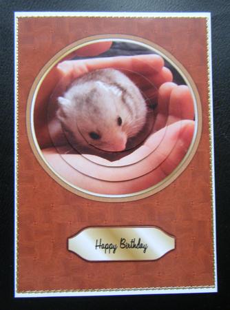 Hamster Card Front with Circle Pyramage by Charlie Angel