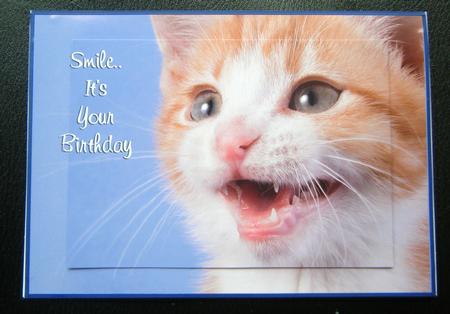 Smile It's Your Birthday 7x5inch Kitten Pyramid by Charlie Angel