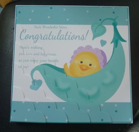 New Baby, Chick in a Pea Pod Mini Kit by Charlie Angel