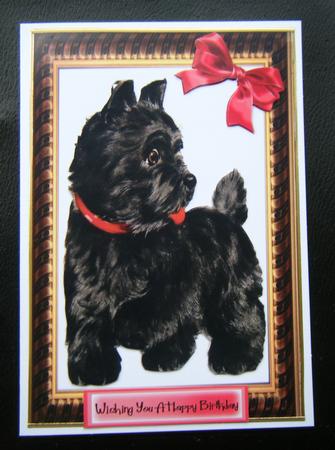 Cute Black Scottie Dog with Bow in Gold Frame by Charlie Angel