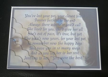 Sympathy, Dog, Female A4 Card by Charlie Angel