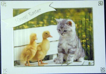 Cute Little Kitten with Ducklings by Charlie Angel