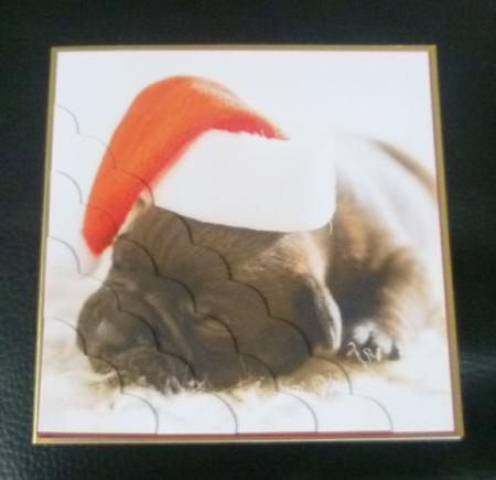 Yule Tide Magic - Christmas Pug Puppy + Insert & Tag by Charlie Angel
