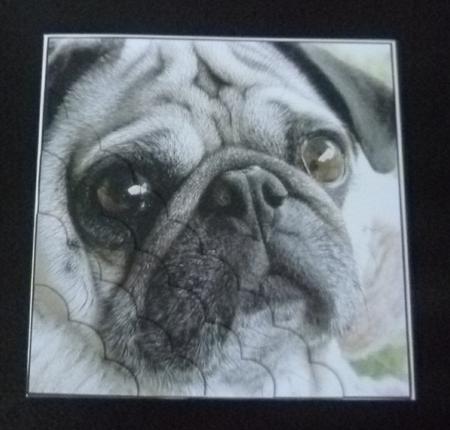 Furry Friends & Familiars - Dogs - Pug 3 + Insert & Tag by Charlie Angel