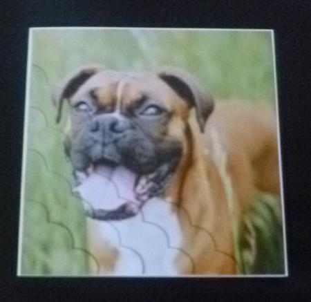 Furry Friends & Familiars - Dogs - Boxer + Insert & Tag by Charlie Angel