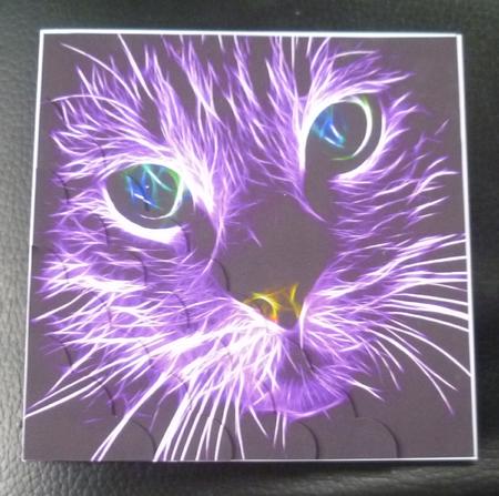 Because We Love Furrys - Electric Fantasy Cat + Insert+tag by Charlie Angel