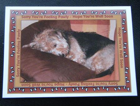 Snuggly Little Dog by Charlie Angel