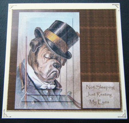 Just Resting My Eyes - Panel Card by Charlie Angel