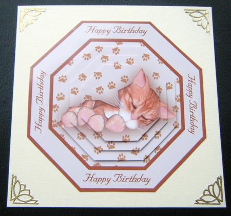 Sleepy Kitty Octagonal Pyramid Quick Card by Charlie Angel