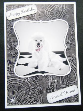 Poodle Quick Card by Charlie Angel