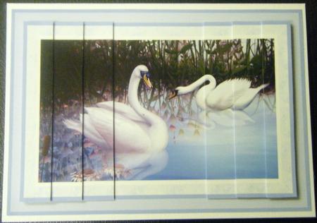 Swan Lake Side Stacker Sheet by Charlie Angel